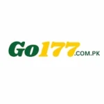 GO177 Game Logo