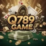 Q789 Game
