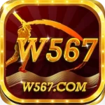 W567 Game