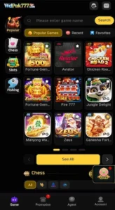 WD PAK 777 Game Download Best Pakistani Platform 2026 2