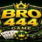 BRO444 Game