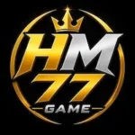 HM77 Game