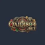 QAIDI804 Game