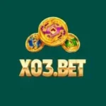 X03 Game