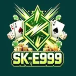 E999 Game
